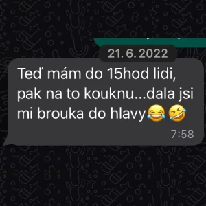 První myšlenka o studiu